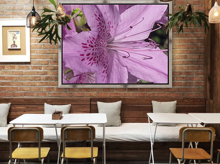 Pink flower Reproduction