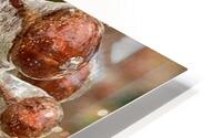 Freeze HD Metal print