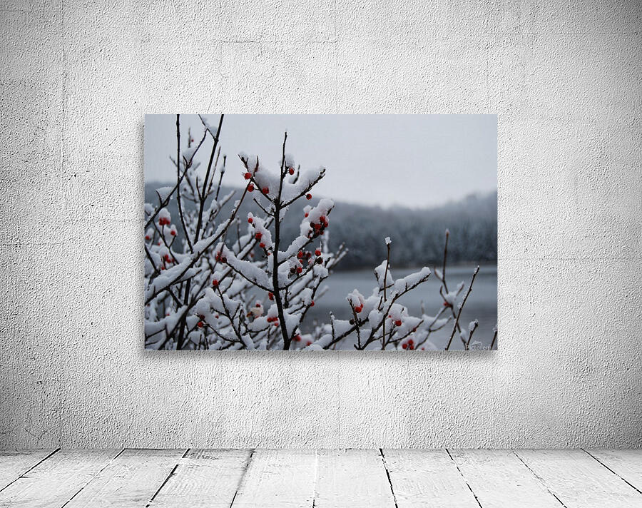 snowberry Wall Preview