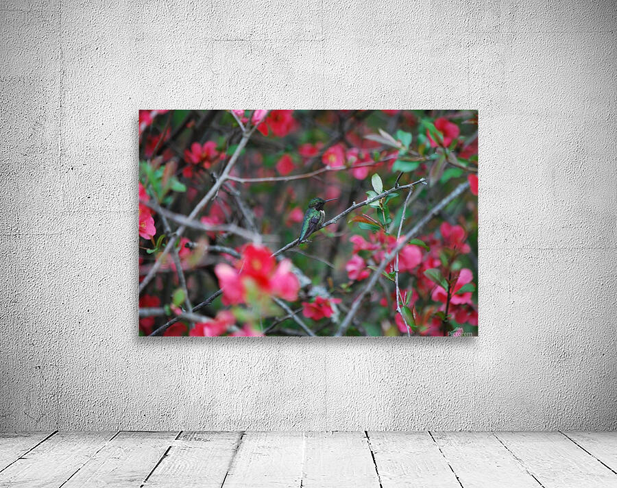 Green Hummer Wall Preview