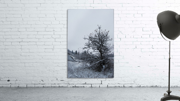 Snowy Tree Wall Preview