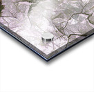 Snow on a Maple Acrylic print