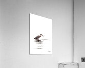 Success Acrylic Print