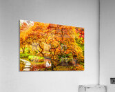 Twisty Doo Acrylic Print