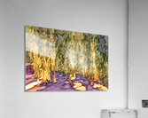 Wide Willow Weeps Acrylic Print
