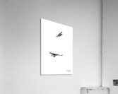 When Fish Fly Acrylic Print