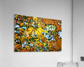 Wider View Acrylic Print