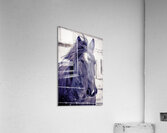 Winter Horse Acrylic Print
