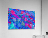 With Blue Pink Acrylic Print