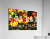 Yellow With Red Acrylic Print