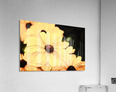 Yellow with Brown Acrylic Print