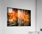 Against the Wall Acrylic Print