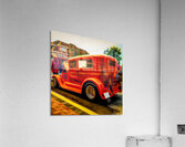 Attracting Attention Acrylic Print