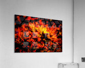 Autumn Bouquet Acrylic Print