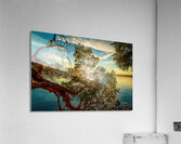 Many Suns Set Acrylic Print