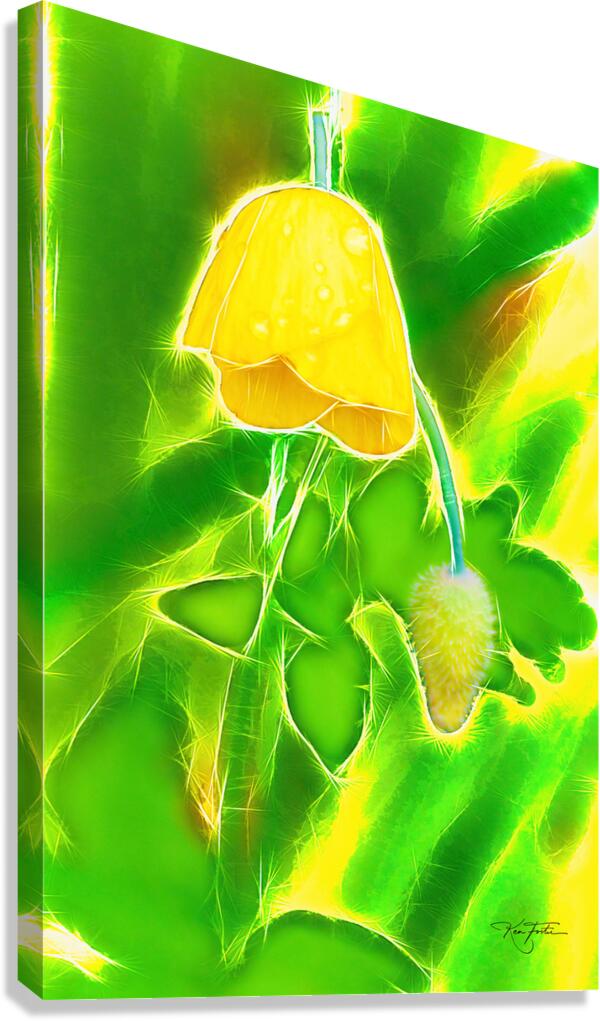 Yellow Poppy Canvas Print