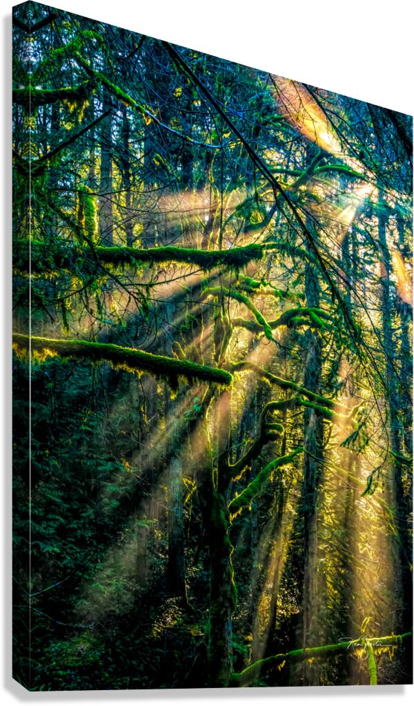 Celebrating Life Canvas Print