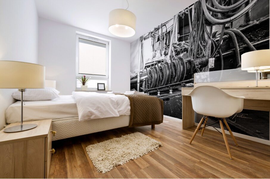 Reels and Lines Mural print