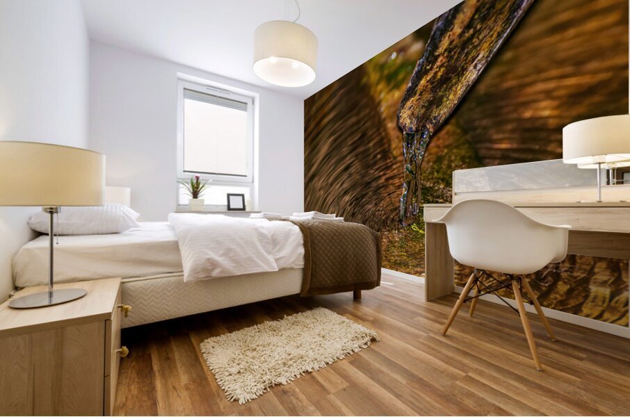 Spout Mural print