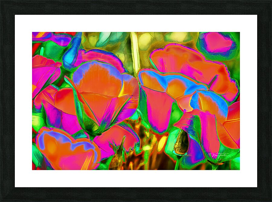 Orange Poppies Orange Picture Frame print