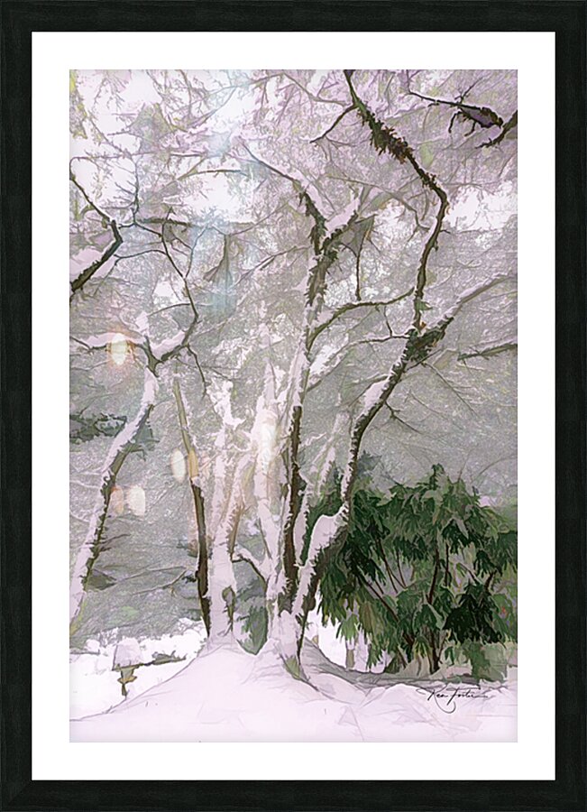 Snow on a Maple Picture Frame print
