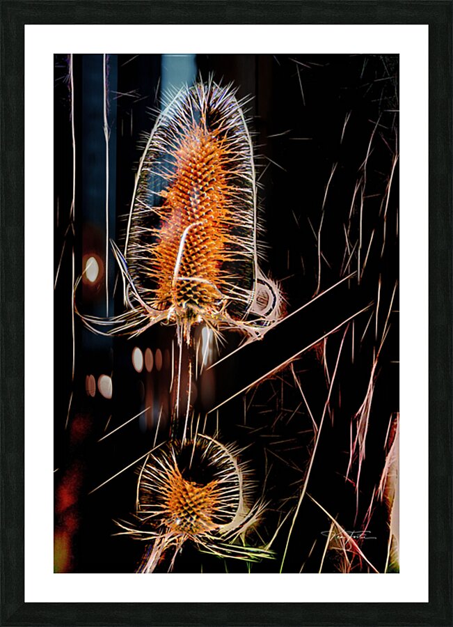 Spikes Picture Frame print