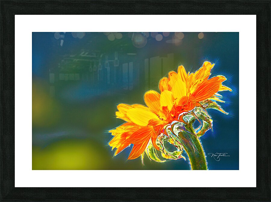 Sun Seeker Picture Frame print