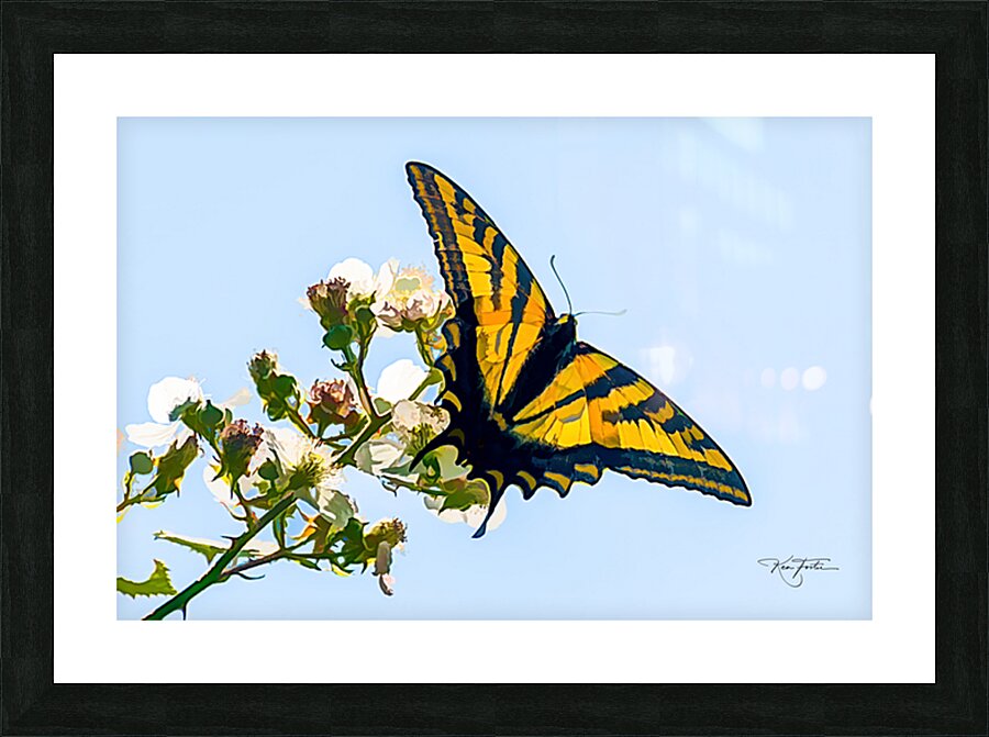 Swallowtail Picture Frame print