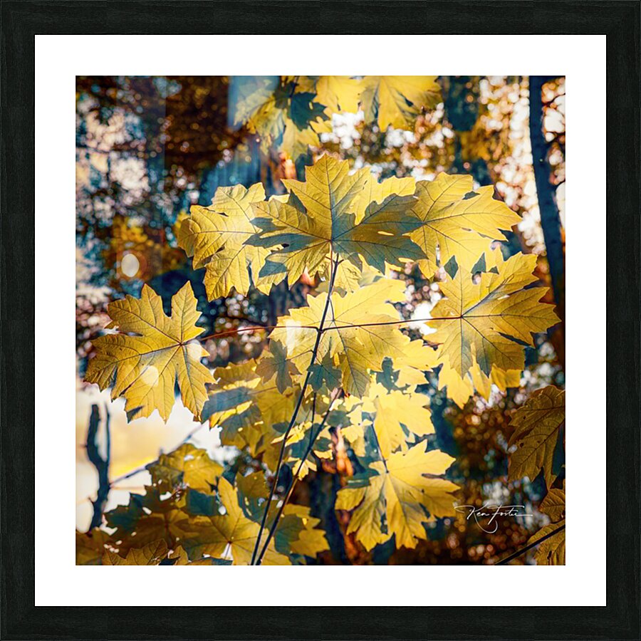 Syrup Tones Picture Frame print