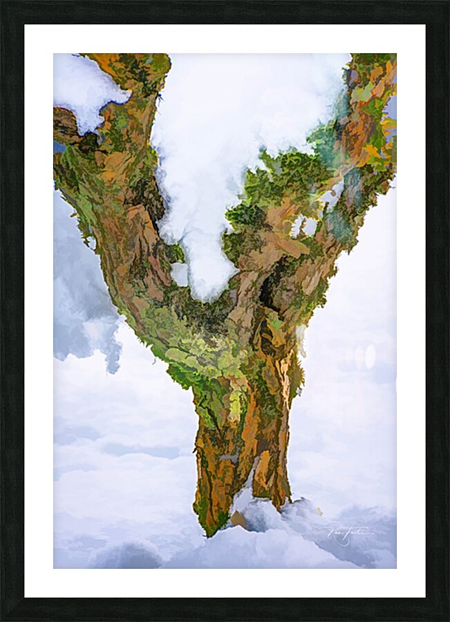 Surrounded Picture Frame print