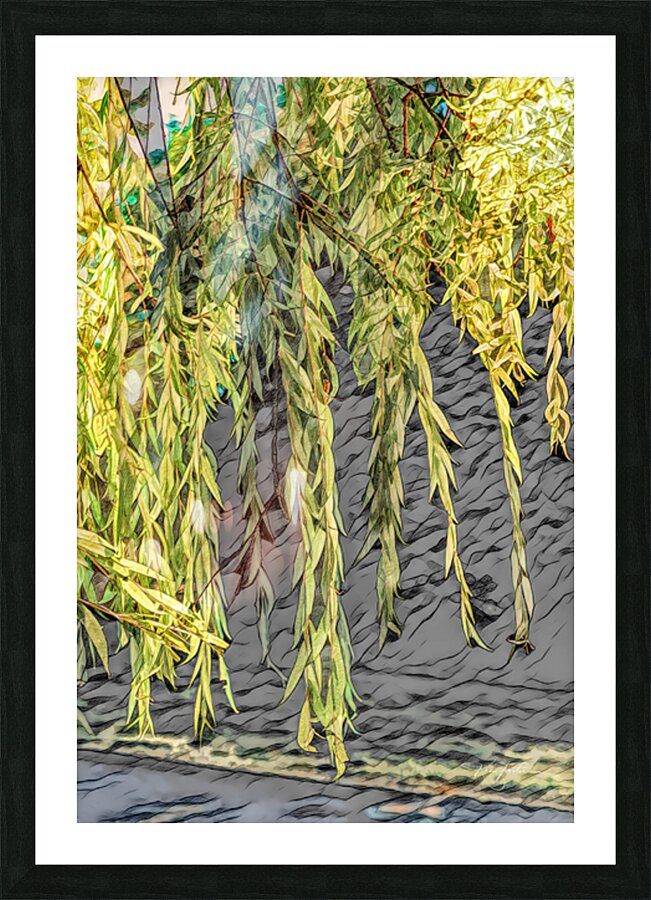 Tall Willow Cries Picture Frame print