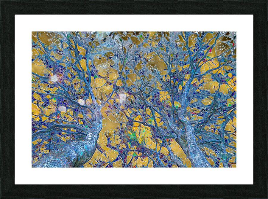 Things are Looking Up Picture Frame print