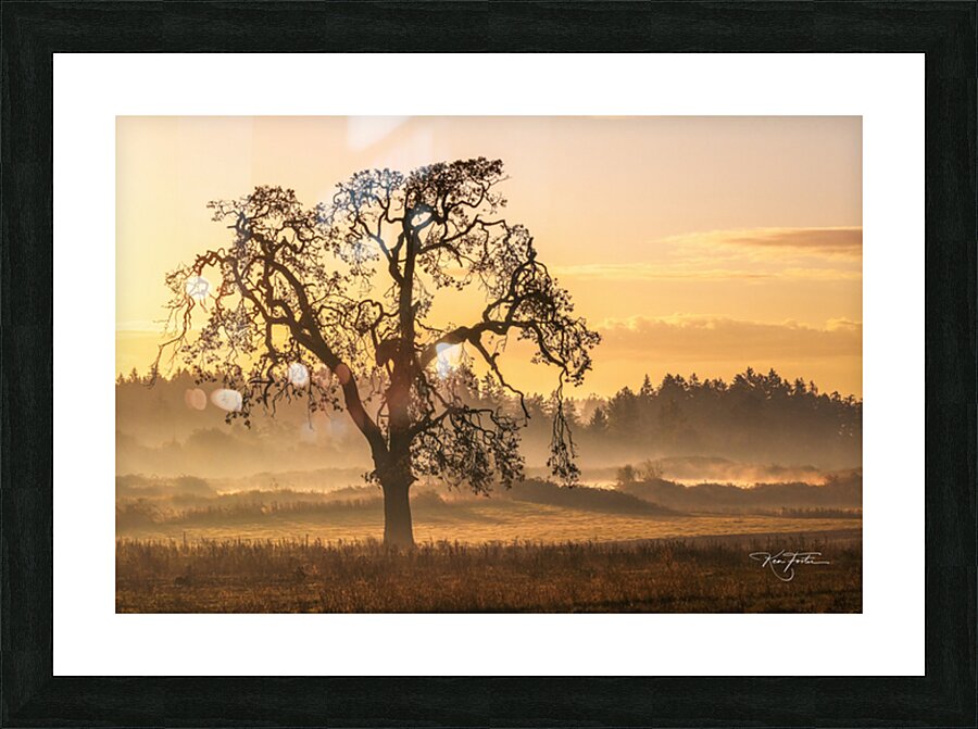 Thunderheart - Morning Oak Picture Frame print