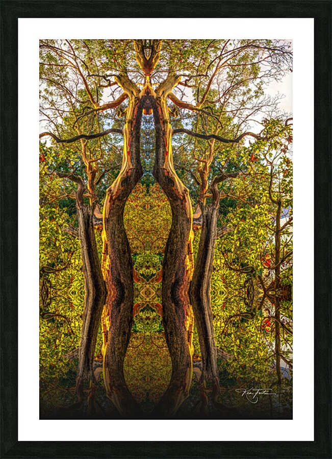 Twin Dancers Picture Frame print