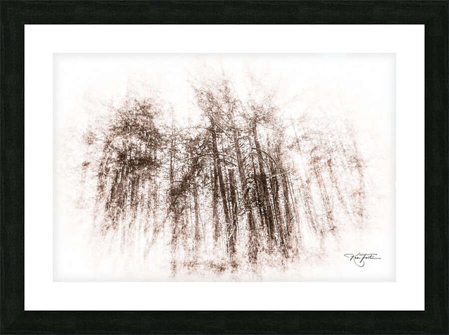Trees for the Forest Picture Frame print