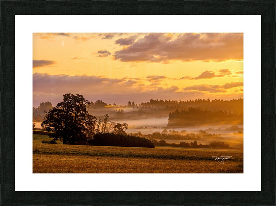 Valley View Picture Frame print