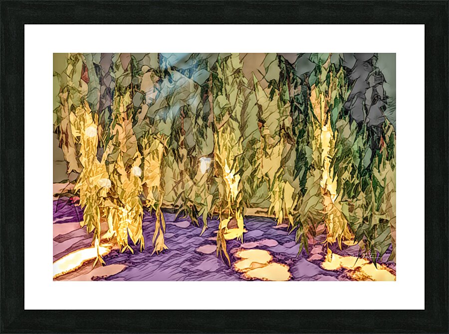 Wide Willow Weeps Picture Frame print