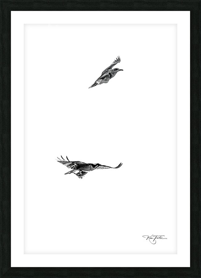When Fish Fly Picture Frame print