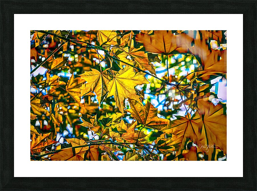 Wider View Picture Frame print