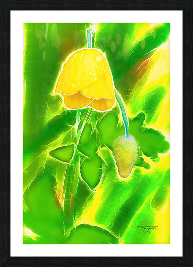 Yellow Poppy Picture Frame print