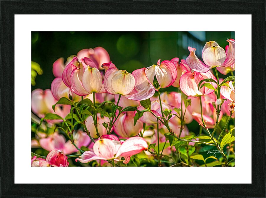 A Few Blossoms Picture Frame print