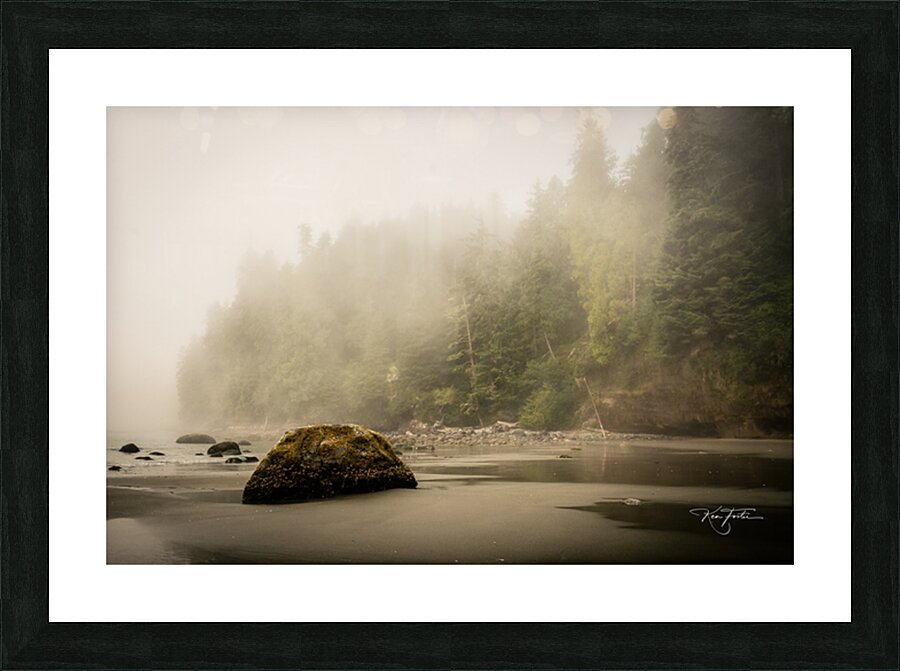 A Beach Rock Picture Frame print
