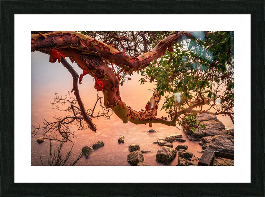 Bark Peel Picture Frame print
