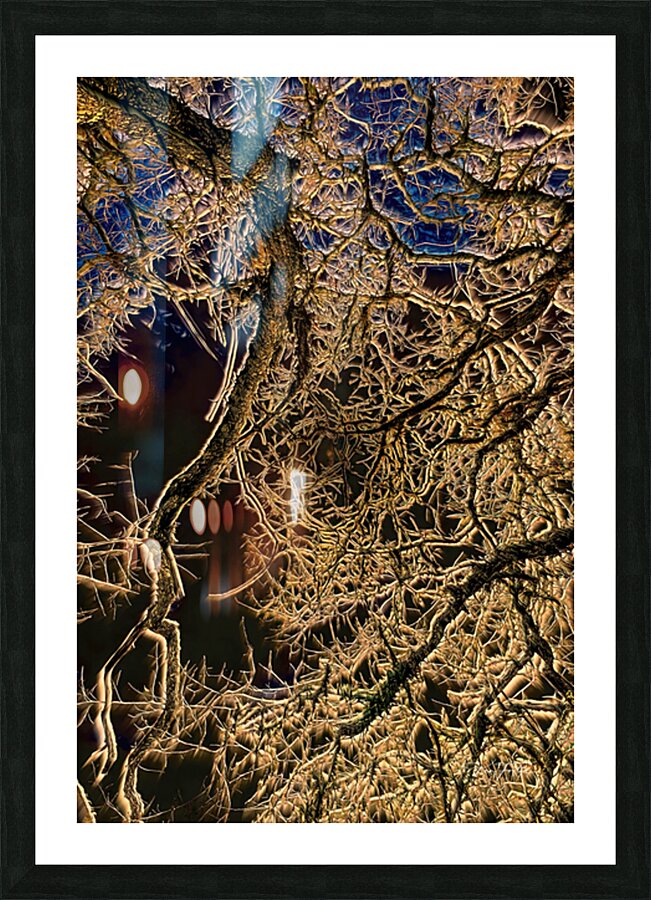 Branch Web Picture Frame print