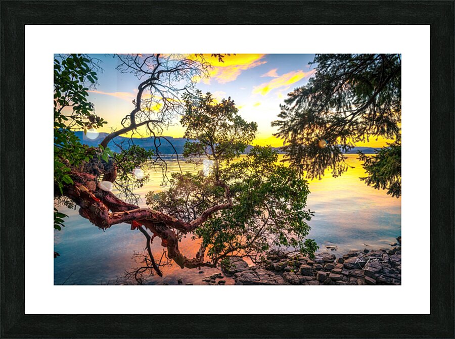 Branching Out Picture Frame print