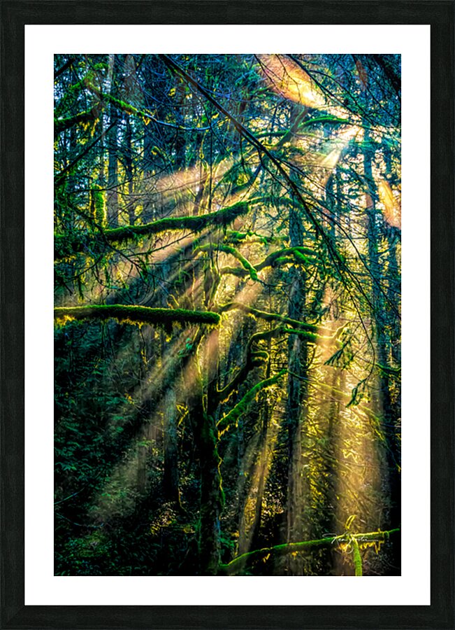 Celebrating Life Picture Frame print