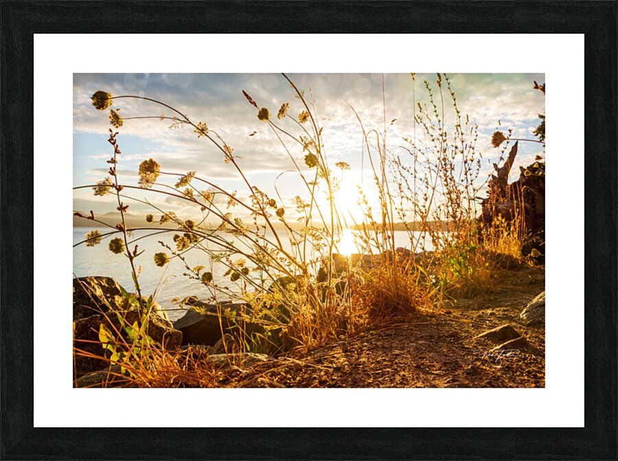 Coastal Trail Picture Frame print