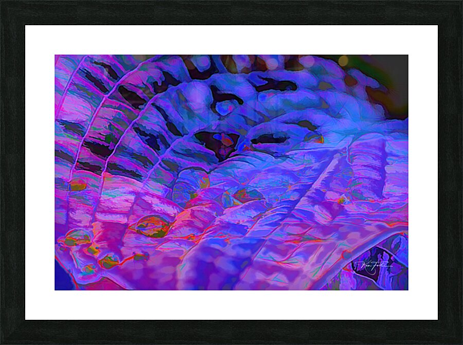 Drops on Hosta Picture Frame print