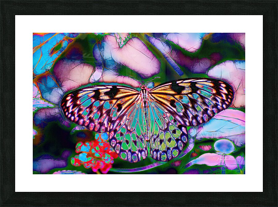 Faeriefly Picture Frame print