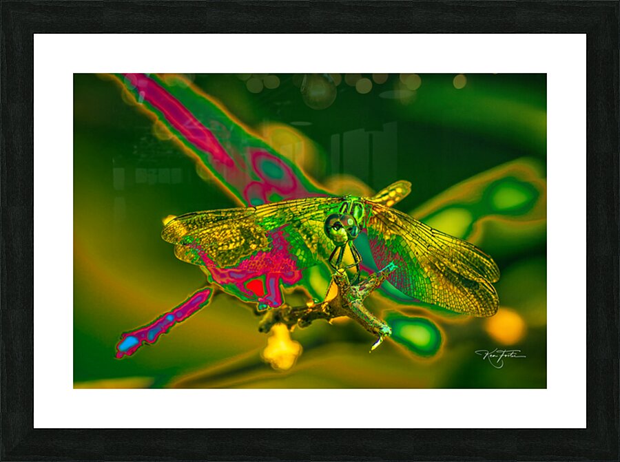 Electric Dragonfly Picture Frame print